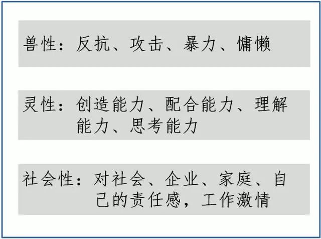 今晚澳门特马开什么今晚四不像|裁定释义解释落实,今晚澳门特马开什么？今晚四不像裁定释义解释落实