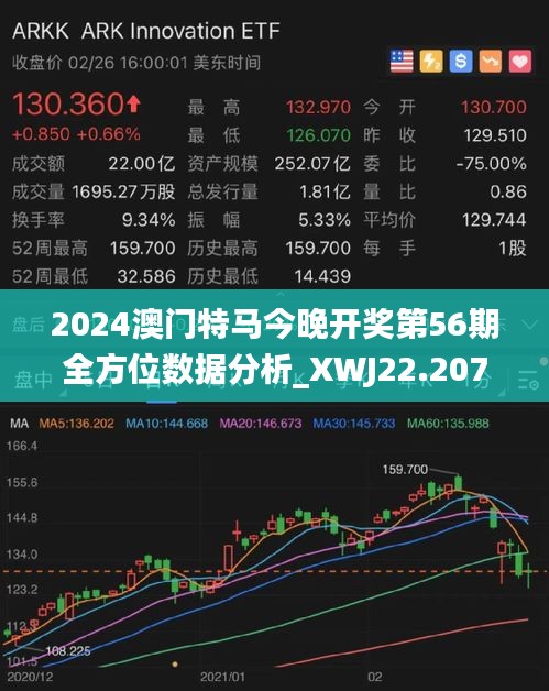 2025澳门特马今晚开什么|分析释义解释落实,澳门特马今晚开什么，分析、释义、解释与落实