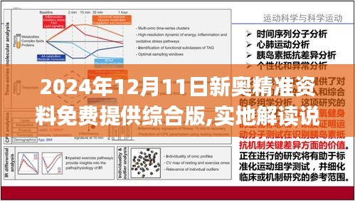 2025新奥资料免费49图库|财务释义解释落实,新奥资料免费图库与财务释义解释落实，未来之路的探讨