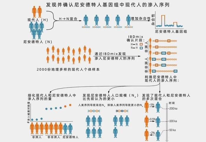 2025年今晚澳门开特马|现代释义解释落实,2025年澳门特马现象与现代释义下的实施策略