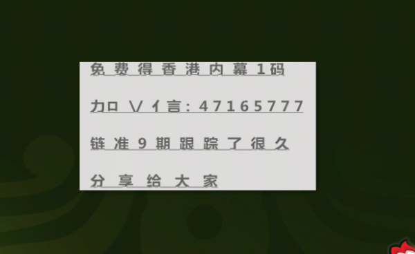 2004新澳正版兔费大全|一举释义解释落实,探索新澳正版兔费大全，一举释义与落实的深度解读