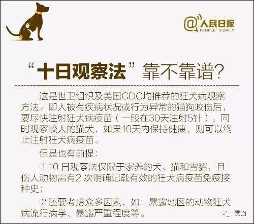 新澳天天开奖资料大全最新54期129期|准确释义解释落实,新澳天天开奖资料大全最新期数，深度解读与准确释义