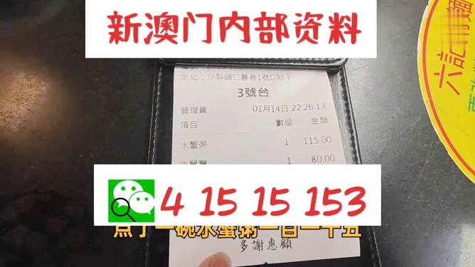 澳门内部正版资料大全|灵动释义解释落实,澳门内部正版资料大全与灵动释义，深度解析与落实实践