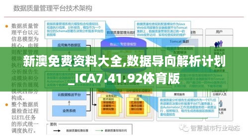 2025新澳兔费资料琴棋|交互释义解释落实,新澳兔费资料琴棋的交互释义与落实策略