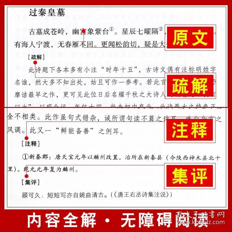 一码一肖100准正版资料|新品释义解释落实,一码一肖，正版资料与新品释义的精准落实