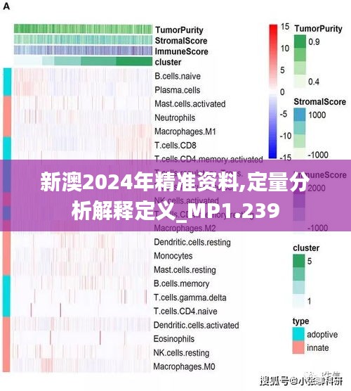 新澳2024年最新版,定量解析解释法_梦想版88.482