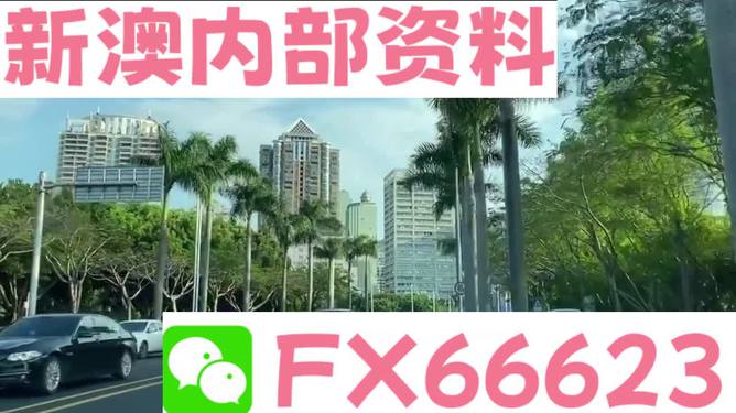 新澳精准资料免费提供网站,信息明晰解析导向_透明版77.286